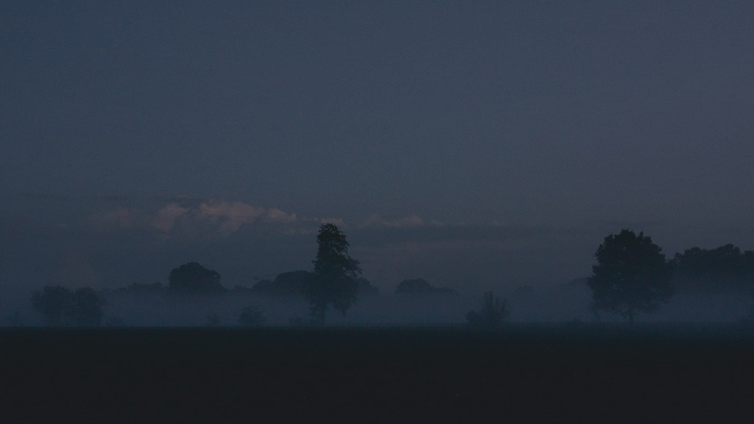 Dark field at dusk with low fog drifting around silhouetted trees