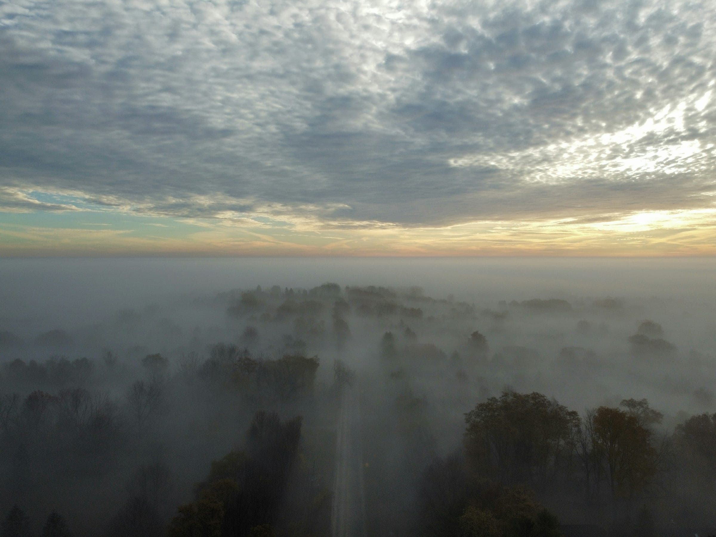 Forest canopy emerging from morning fog under a wide, broken cloud sky at dawn