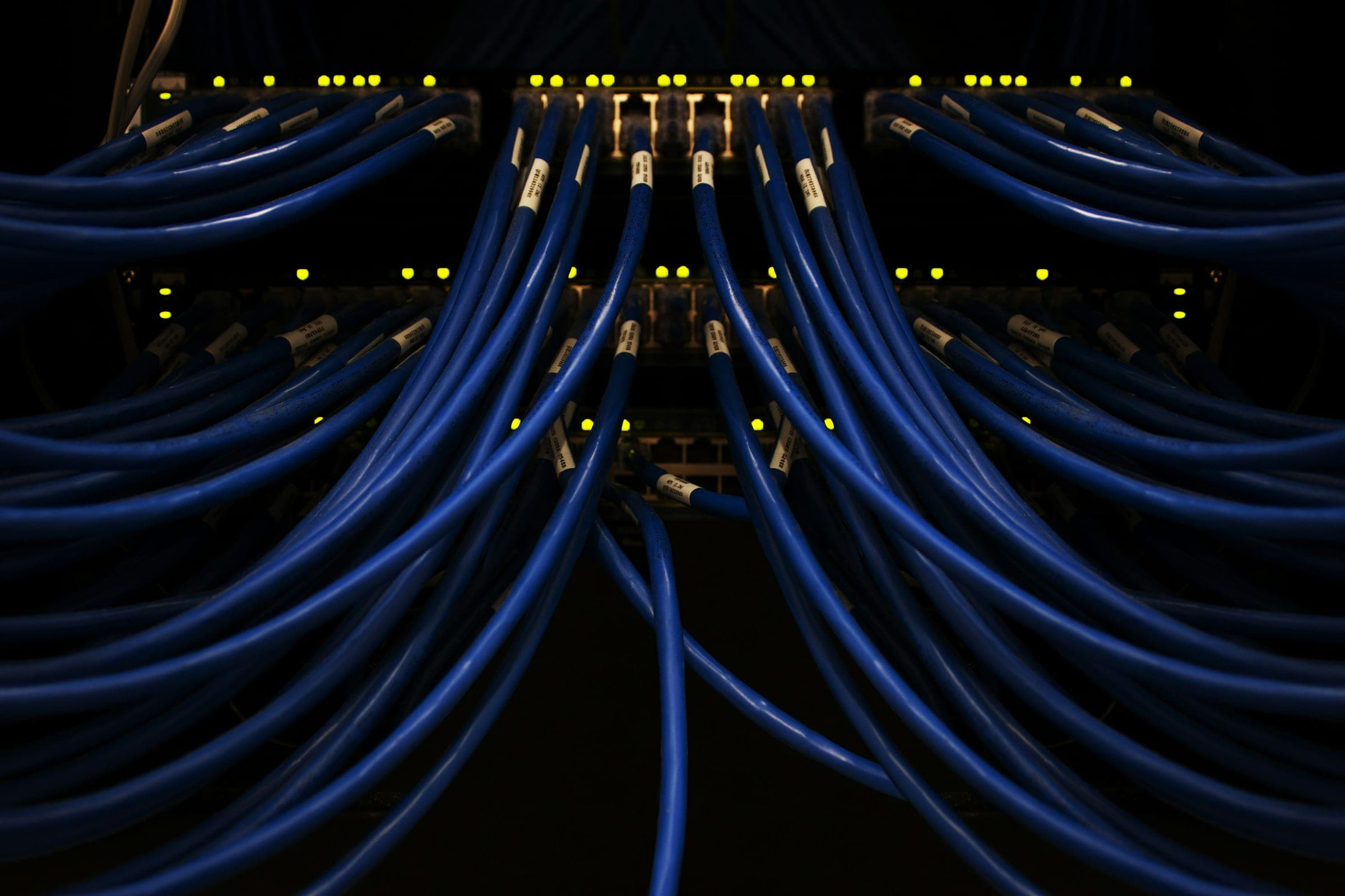 Dense rows of blue network cables plugged into switches in a dark rack